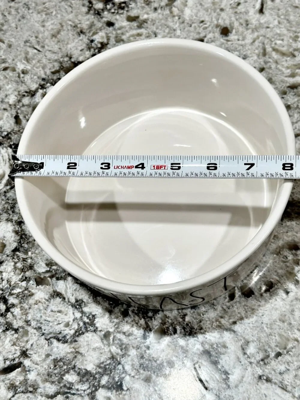 Rae Dunn by Magenta FEAST Dog Pet Food Water Bowl Artisan Collection 8 Inch XL
